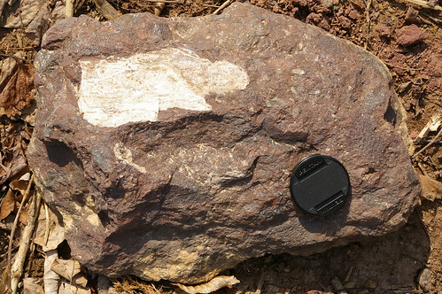 metamorphic rock images. foliated metamorphic rocks