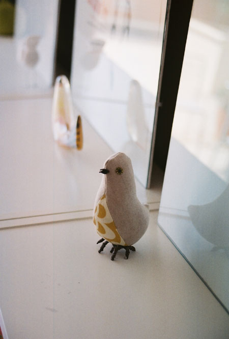 bird on film