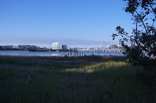 Inlet of the bay