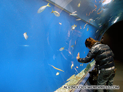 Japanese dude observing the fish