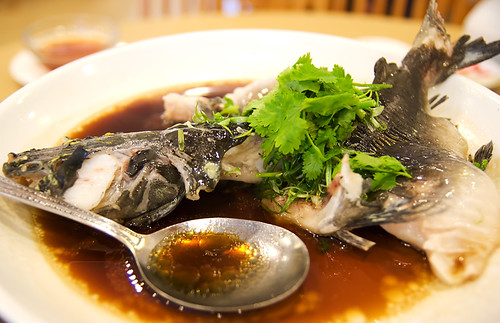 steamed catfish, ikan baung, pak sou gong DSC_0168