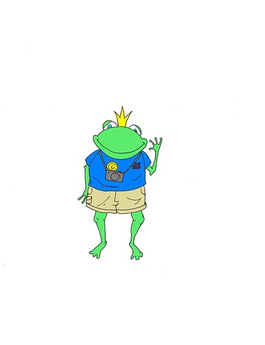 Camera Frog-colored in