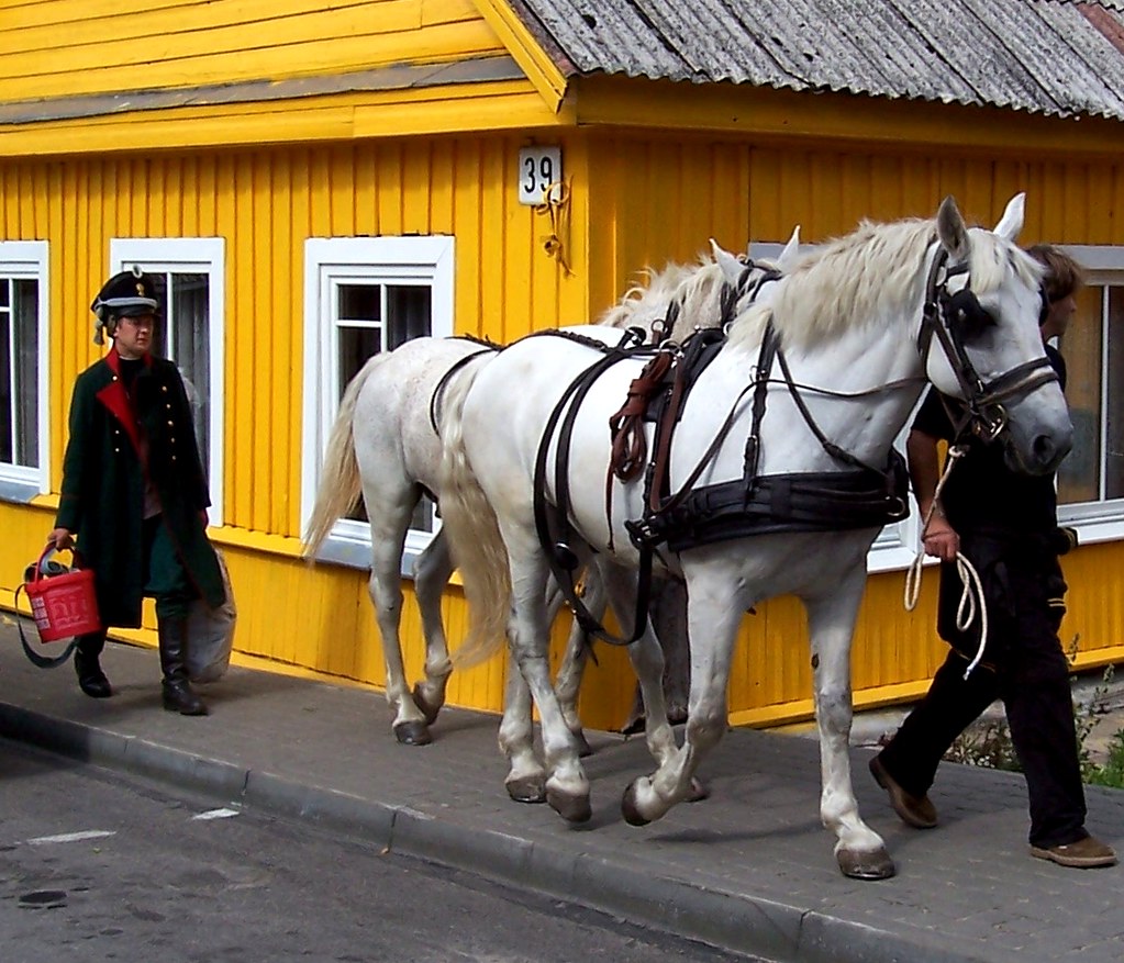 : White horses and yellow house