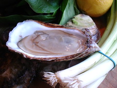 still life with oysters