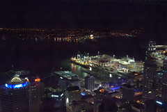 nightscape from Sky Tower