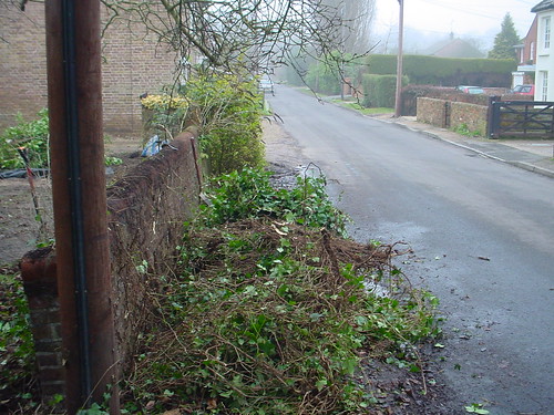 Landscaping Prestbury - Formal Garden  Image 8