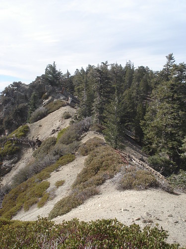 Ridge nearing Wilshire Peak
