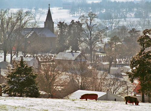 Saint Joseph Roman Catholic Church, in Zell, Missouri, USA - view from distance with pigs