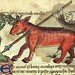 Kongelige Bibliotek, Gl. kgl. S. 1633 4º-Antilope atrapado en un arbol llamdo Hericina arponeado por un cazador