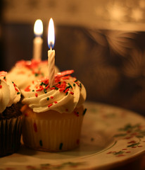 Miranda's Birthday Cupcakes by organicpixel