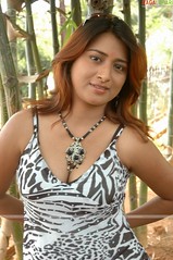 Telugu Actress - Farah Khan
