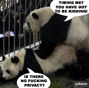 Timed Pandas