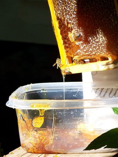 Honey from our bees