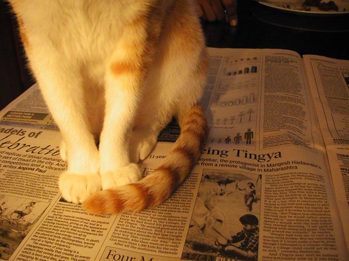 Try reading the newspaper now!