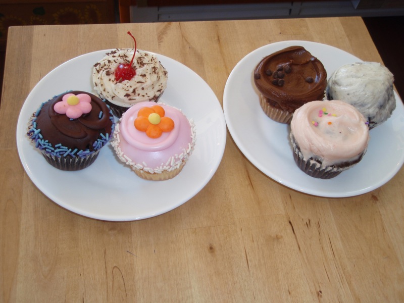 Six cupcakes from Martha's Country Bakery