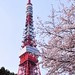 SAKURA - Tokyo Tower par *Sakura*