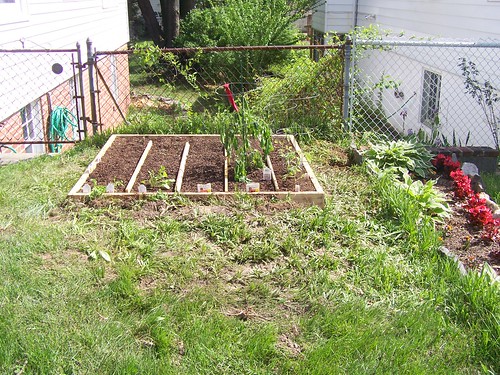 Our first square foot garden bed