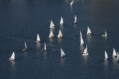 Sailer on Charles River