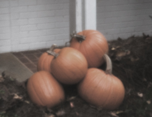pinhole pumpkins orton desaturated