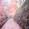 Red road [ Mt. Yoshino ]