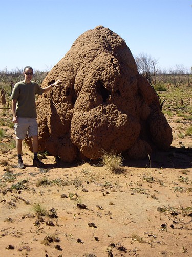 termite man