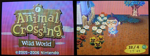 Animal Crossing - 2