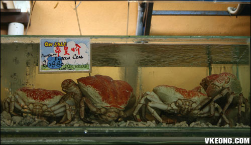 emperor crab