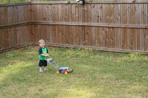 Walker mowing the grass