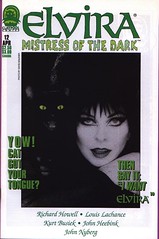 Elvira, Mistress of the Dark #12 cover