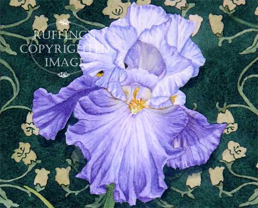 "Blue and White Iris on Green" ER31 by Elizabeth Ruffing