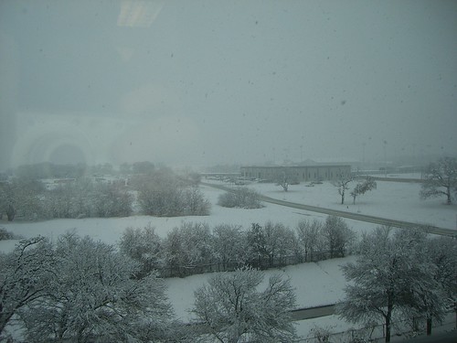 Snow In Arlington 2-11-10