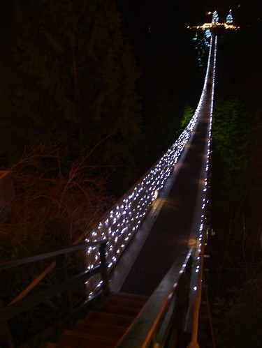 夜晚的吊橋