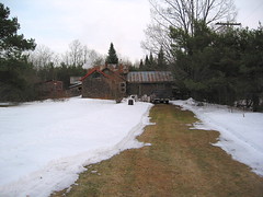 Cleared Driveway to cabin