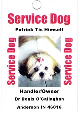 Paddy Pouch Dog Service 