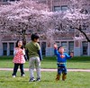 Superman and friends playing with bubbles at Cherry Tree Festive picnic, University of Washington campus, Seattle, Washington, USA