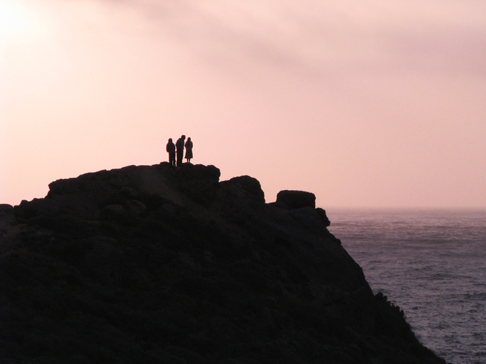 Point Lobos silhouette