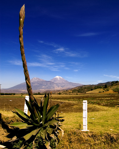 pico de orizaba. Pico de Orizaba by Ignatius244