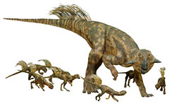 psittacosaurus