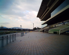京都競馬場　スタンド