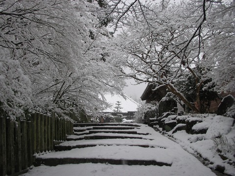 当麻寺（雪景色）-11