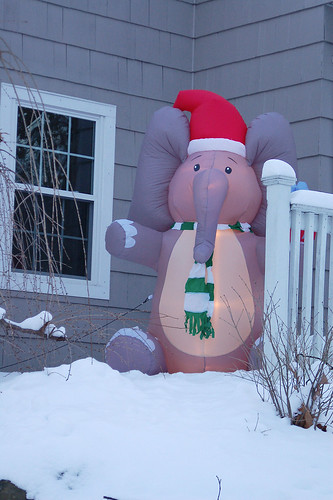 Inflatables: Adorable or Tacky?