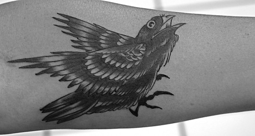 black bird tattoo. Black Bird