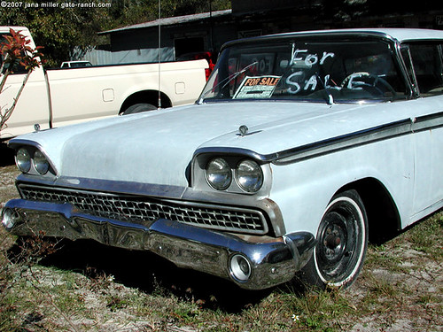 Nature Wins Rusty Vintage Cadillac 1960 Weed in FL Boneyard This print 