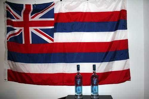 Hawaii Flag Pics