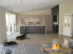 Kitchen with tiled floor and dogs