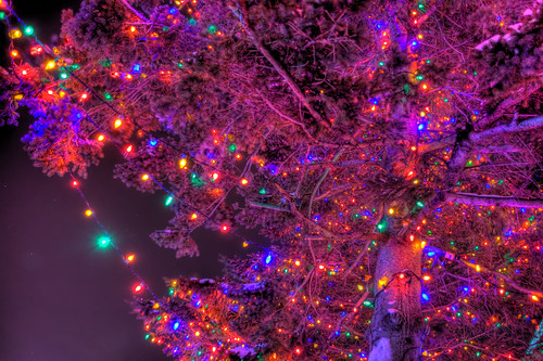 Lights and the Purple Tree