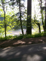 Sunshine on the Sandy River at Oxbow Park