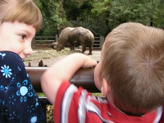 Nathan at the zoo