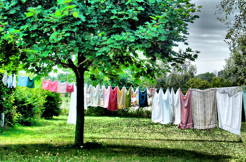 Line Drying Clothes