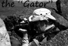 me the gator in black 100 thumbnail
